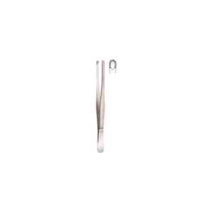Russian Tissue Forceps