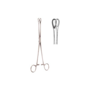 Foerster Sponge Holding Forceps Straight