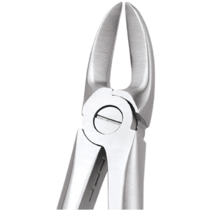 55 Separating Upper Molars