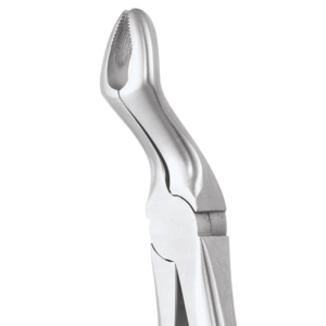 67A Upper Third Molars
