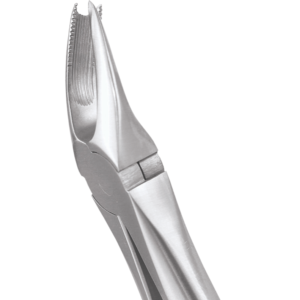 89 Upper Molars Right