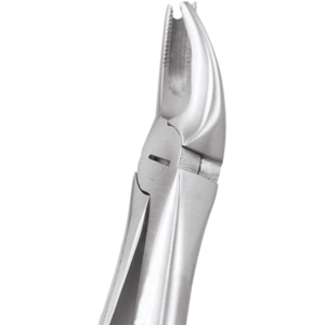 90 Upper Molars Left