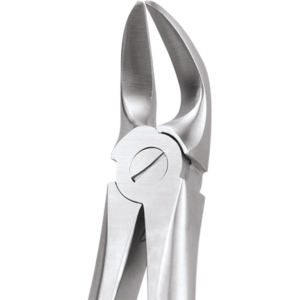 56 Separating Lower Molars