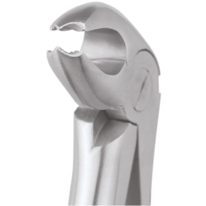 22 Lower Molars