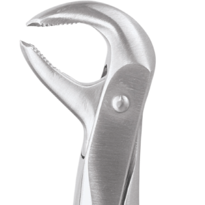 73 Lower Molars