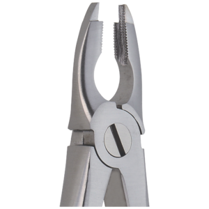 Upper incisors and premolars deep-gripping #34