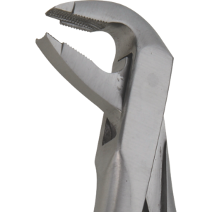 Lower premolars deep-gripping #36A