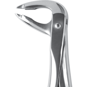 lower premolars deep-gripping