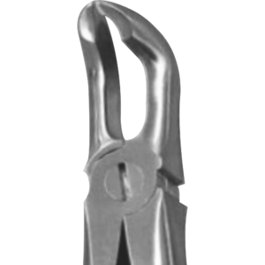 F-7C lower molar