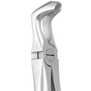 79 Lower Third Molars