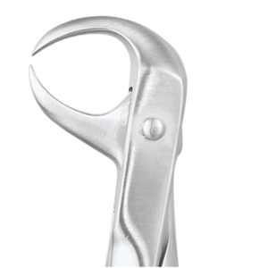 86 Lower Molars