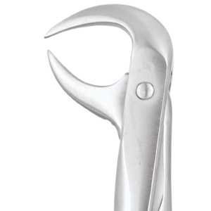 86A Lower Molars