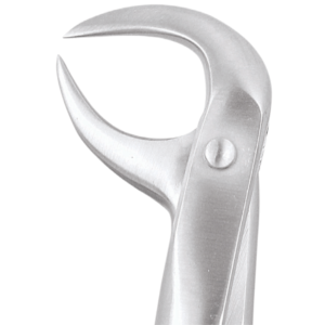 86B Lower Molars