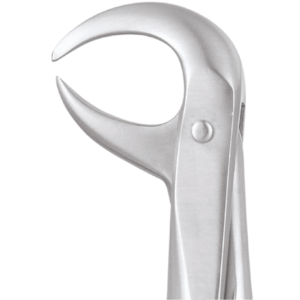 86C Lower Molars