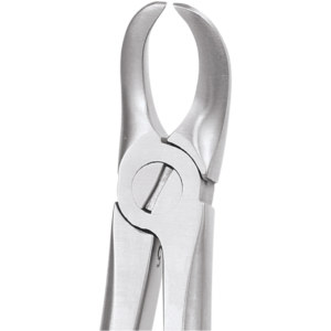 87 Lower Molars