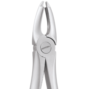 1 Upper Centrals & Canines