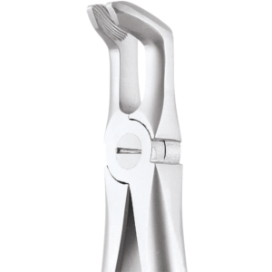79 Lower Third Molars