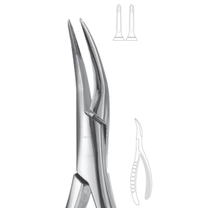 300 Upper roots Serrated