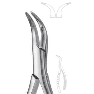 301 Lower roots Serrated