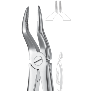 51 Upper Roots European Style Serrated