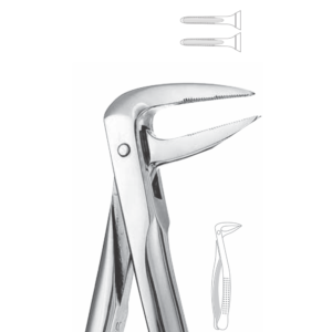 233 Lower Roots European Style Serrated