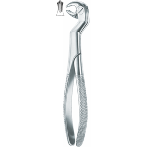 550 Lower Molars And Wisdoms, Left