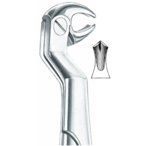 551 Lower Molars And Wisdoms, Right