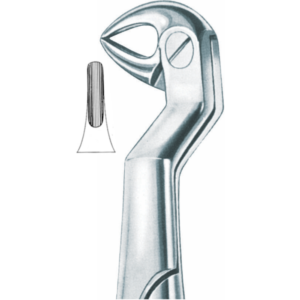 552 Lower Molars And Wisdom Roots, Left