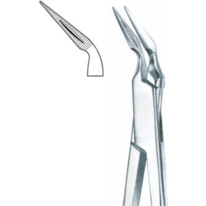 Root Fragments 90˚ degree curve also available