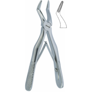 English Pattern Klein Fig. 4 Pedodontic Upper root