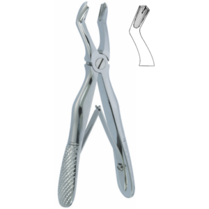 English Pattern Klein Fig. 3 Pedodontic Upper Molars Universal