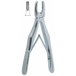 English Pattern Klein Fig. 1 Pedodontic, Upper Incisors