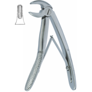 English Pattern Klein Fig. 5 Pedodontic Lower Incisors.
