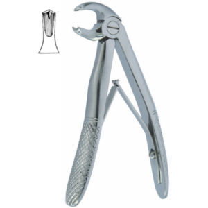 English Pattern Klein Fig. 6 Pedodontic Lower Molars
