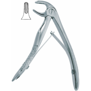 English Pattern Klein Fig. 7 Pedodontic Lower Molars,