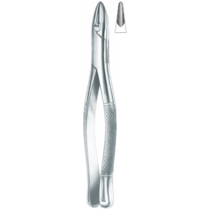 Winter upper centrals and canines Fig. W1