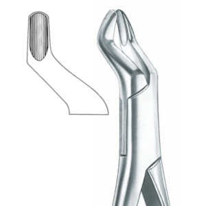upper molars Fig. 10 H