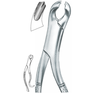 Harris lower molars Fig. 15