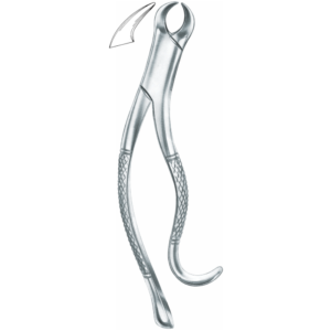 lower molars Fig. 16