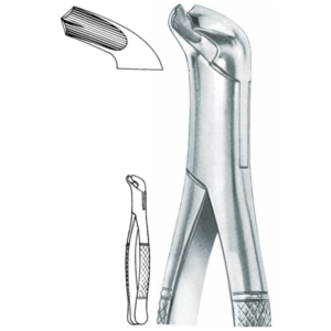 lower molars Fig. 17