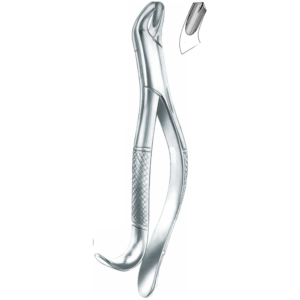 Harris upper molars, right Fig. 18R