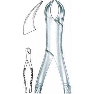 lower molars Fig.23