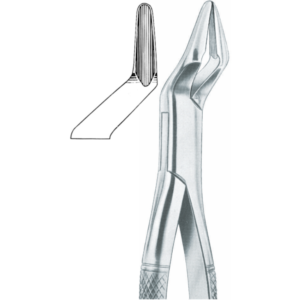 Parmly  upper premolars and molars Fig. 32