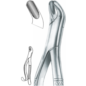 Harris upper molars, left Fig. 18 L