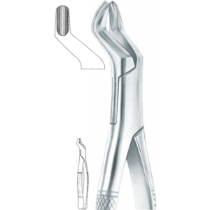 53 L upper molars, left