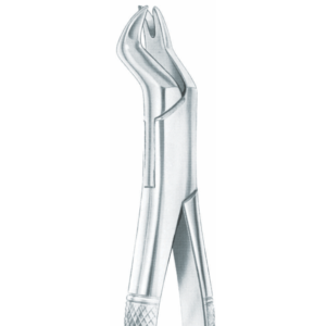 88R Nevius upper molars, right