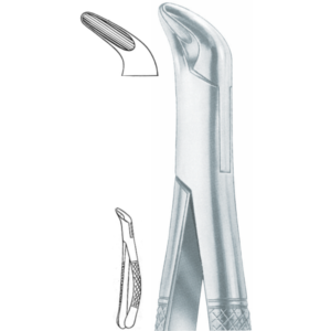 151 S lower teeth, for children