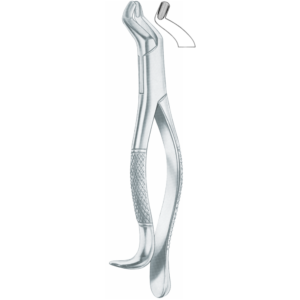 210 upper third molars