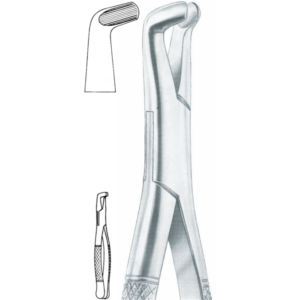 222 Lower third molars