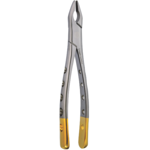 Upper Anterior Fig. 1